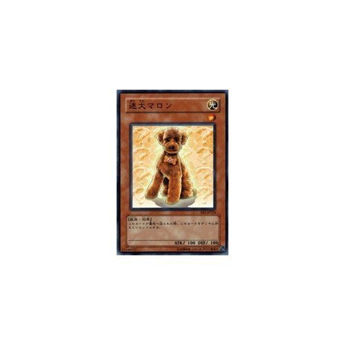 遊戯王カード　マロン Amazon.co.jp: 【遊戯王シングルカード】 《エキスパート