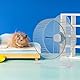 Hamsterrad, groß, leise, transparent, Kunststoff, Hamsterrad mit einem Durchmesser von 17 cm, geeignet für Rennmäuse, Rennmäuse, Mäuse, goldene Bärenhamster, Kleintiere