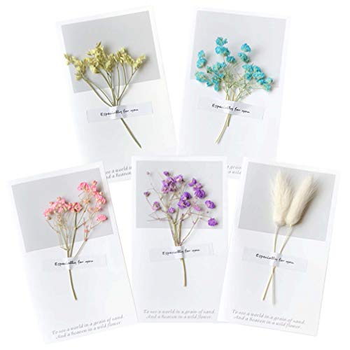 Amosfun 5 peças Vintage Flores Secas Cartões de felicitações DIY Cartão de convite feito à mão Cartã