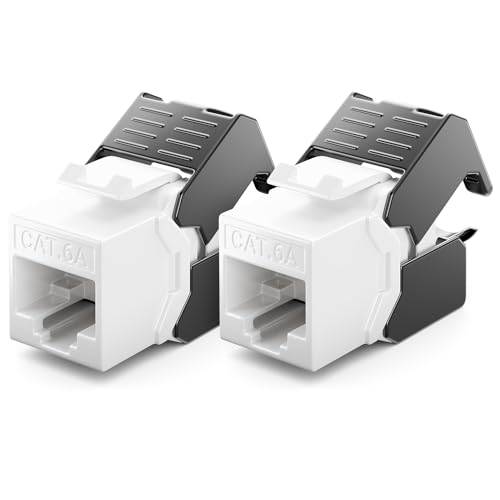 deleyCON 2x CAT6a Keystone Jack Module RJ45 - Prise RJ45 à LSA en Plastique Assemblage par Encliquetage Câble Brut CAT 500 Mhz 10 GBit/s