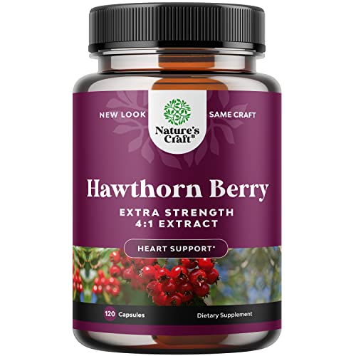 Hawthorn Berry Health Benefits ShapelySense