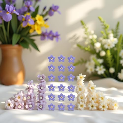 Flores Secas Azules Olvídame No 20 Piezas para Decoración DIY miniatura 3