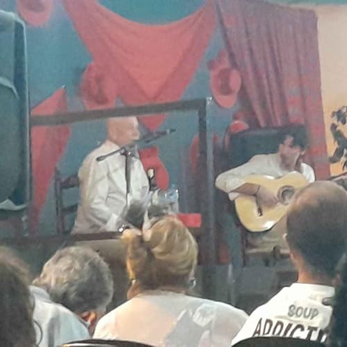 Asociación de pensionistas y mayores la Unión- Noche flamenca