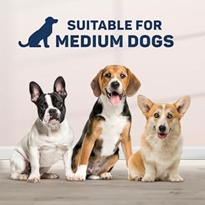 22oz650ml ceramic dog bowls for small size dog  4 cups dog cat water and food bowl set for small medium size dogs durable small dog bowls ceramic for convenient feeding non skid spill silicone mat   cucciolini doodles