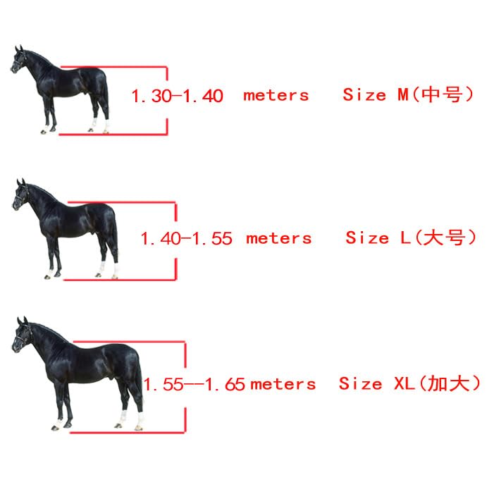 Merauno® Horse Gaiters, Set of 4 Gaiters - Image 4