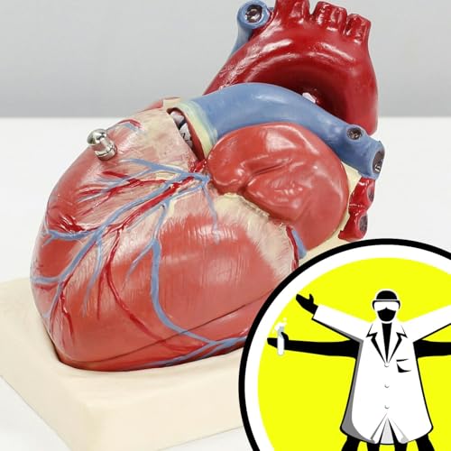 Heart failure: can you mend a broken heart?