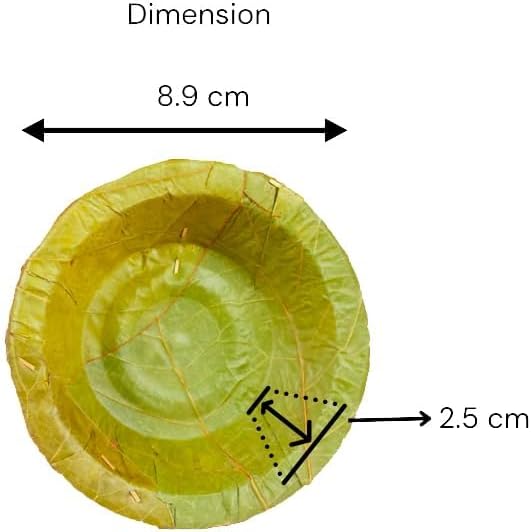 Healthy Edible's, Disposable Siali Leaf Dessert Bowl (with Corrugated Sheets), Small, 3.5 inch, Set of 50, Green