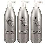 Rondo Eiswasser 1000ml Haarwasser Haartonikum Kopfhautpflege Anti-Schuppen (3 Stück)