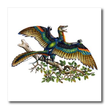 Amazon.com: 3dRose ht_156678_1 Archaeopteryx Colorful
