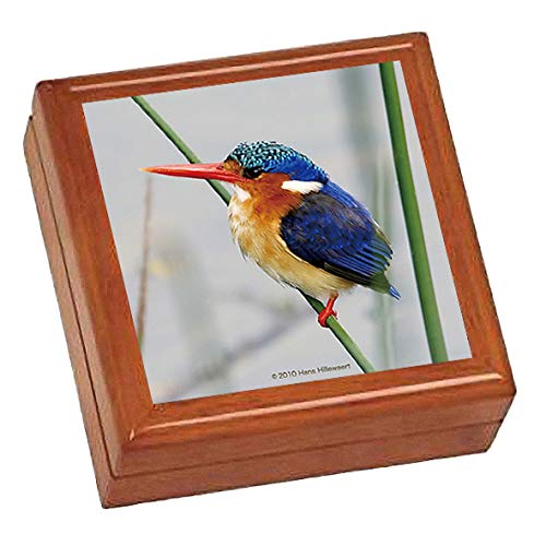 カワセミのジュエリーボックス Amazon｜鳥のカワセミ ジュエリーボックス ジュエリー収納ス