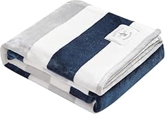 Awning Stripe Navy/White