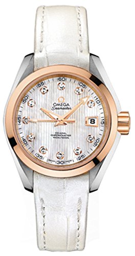 Omega Seamaster Aqua Terra 231.23.30.20.55.001