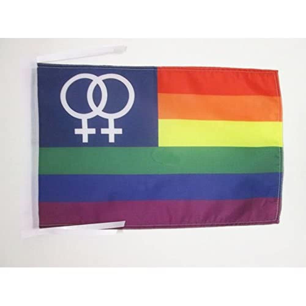 Iran Old Persia Flag 18'' x 12'' cords - Persian SMALL flags 30 x 45cm - Banner 18x12 in - AZ FLAG — view 932