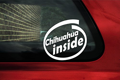 Chihuahua Cane Interno Adesivo - Bordo Auto Segno