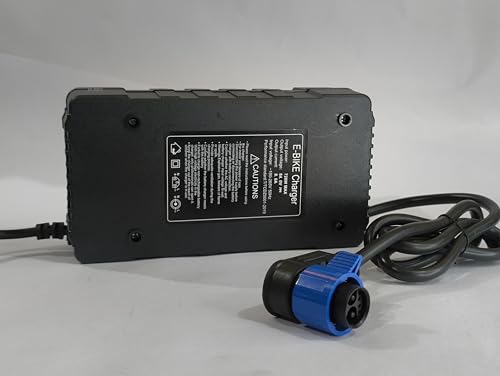 Image of BHEEMTEK 84V 8A Fast EV Charger for Lithium Battery | Lithium-ion Battery Charger 84 Volts 8 Amp | Overcharging Auto Cut Protection | EV Charger Suitable for All EV - Bike, Scooty, Car.