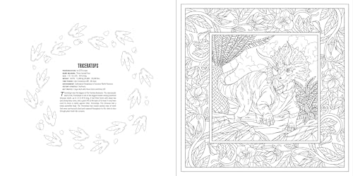 Animals: A Smithsonian Coloring Book Box Set - Image 5