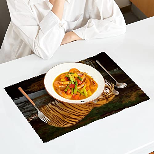 Placemats Set Of 6 Dining Table Place Mats Cloth Placemats Kitchen Table Mats Indoor Outdoor Placemat, Tiger By The River #TOP2