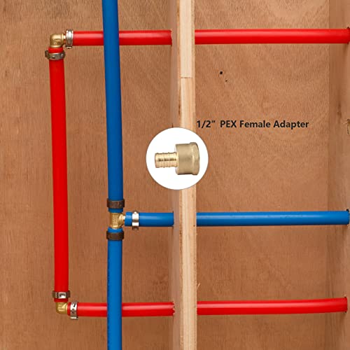 GUOFIS (Pack of 12) PEX 1/2\" x 1/2\" NPT Female Threaded Adapter,Brass Pex Crimp Adapters Fitting for PEX Pipes in Plumbing Jobs