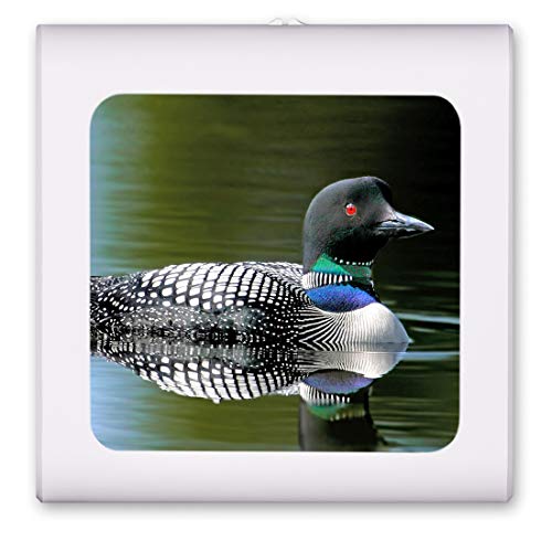 Plug in Dimmable LED Night Light with Dusk to Dawn Auto Sensor, Adjustable Brightness, Warm Light, Auto On-Off Nightlight for Bathroom, Hallway, Nursery, Bedrooms - Loon