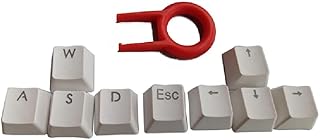 9 Keys PBT Backlit Keycaps WASD/ESC/Direction Cherry MX Keycaps With For Key Cap Puller For MX Switches Backlit Mechanical Gaming Keyboard Mechanical Keycaps Blue And Red