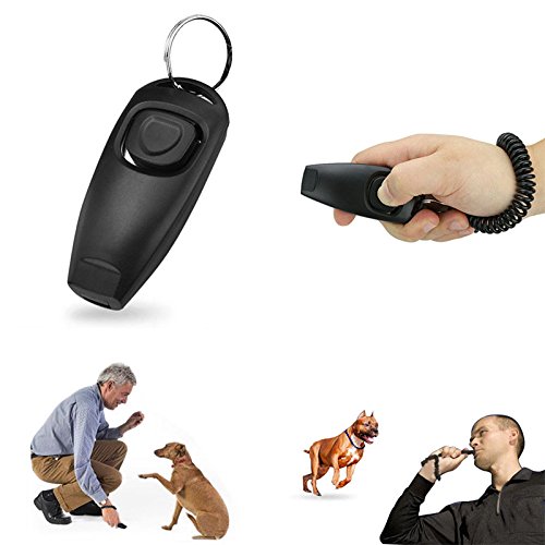 Training tips with Fuhomtre Clicker Dog Trainer and treats