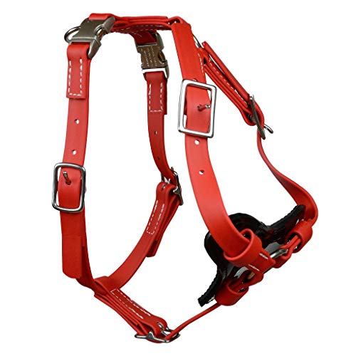 Redline K-9 All Weather Biothane Dog Harness (Medium, Red)