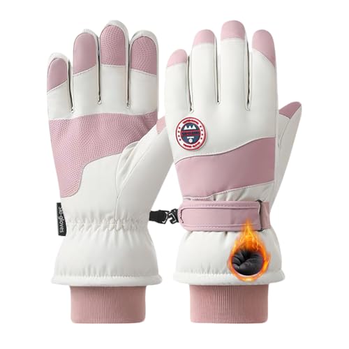 [YUMISS] XL[O[u h fB[XyOwhhhfށE~MۉNтŗ뉺20gz ʋC  ~ ^b`plΉ hH Xm[{[h oCN oR ނ AEghA (^CvA-sN, Fre