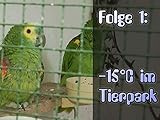  -15 Grad im Tierpark