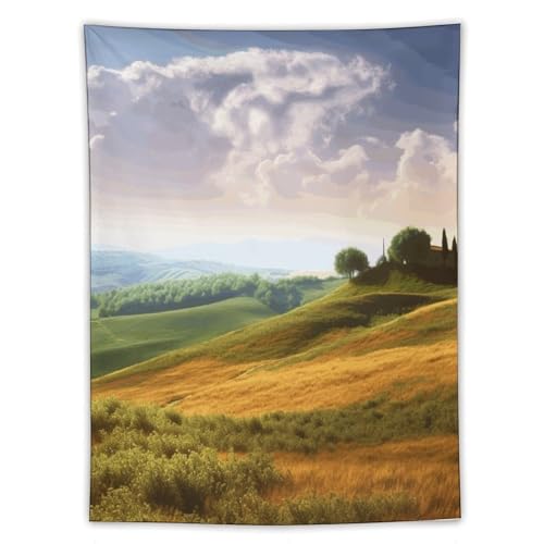Tapisserie murale decoration piece sombre deco salon chambre a coucher