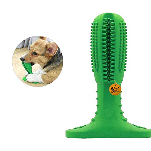 Sage Square Dog Toothbrush Stick Bristly Brushing Stick Dog Teeth Cleaning Treats Chew Toys Bite Resistant Puppy Effective Dental Care Doggy Natural Rubber Massager for Small & Medium Dogs Pets-