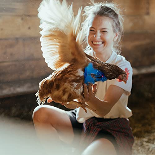 Gatuida Hahnengeschirr Mit Zugseil Für Hähne Outdoor Hühnerleine Hühnerzubehör Aus Hochwertigen Materialien Langlebig Und Praktisch Für Mottopartys Und Anlässe Wie Halloween Weihnachten Os