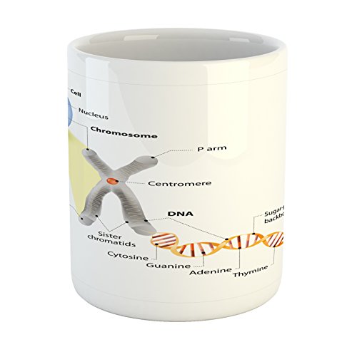 Ambesonne Science Mug, Cell Chromosome DNA Gene Genome Study Double Helix Evolution Science Research, Ceramic Coffee Mug Cup for Water Tea Drinks, 11 oz, Grey Blue