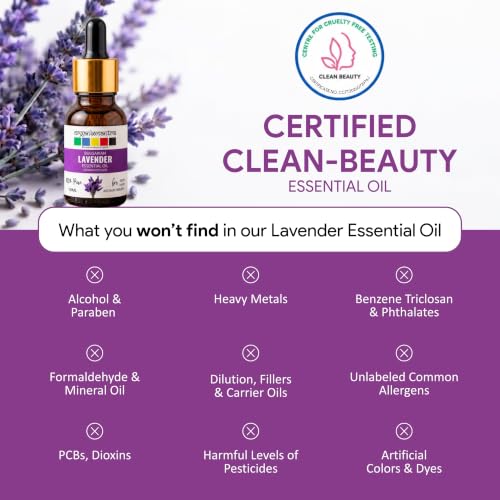 Image of Bulgarian Lavender Oil