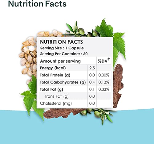 Sjh Oziva Plant Based Dht Blocker, 60 Capsules (Stinging Nettle, Beta Sitosterol, & Pine Bark), Controls Hairfall & Stimulates Follicles, Certified Clean & Vegan #TOP2