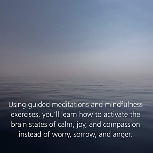 Image of Buddha's Brain: The Practical Neuroscience of Happiness, Love & Wisdom
