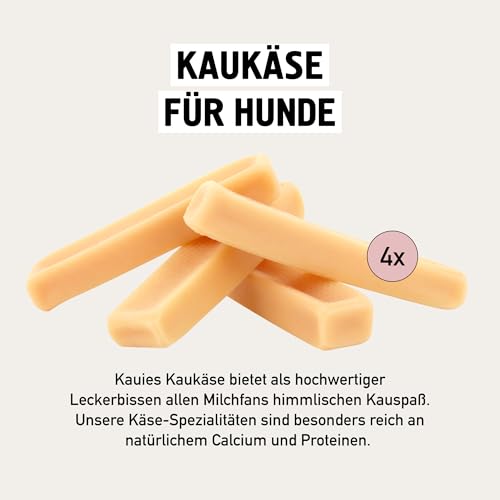 Kauies Kaukäse - 100% natürliche Käsestange für Hunde aus frischer Kuhmilch, proteinreich, laktosefrei, glutenfrei, Zahnpflege, Handmade in Germany - Größe XS (4 x 25g) für Hunde bis 4kg