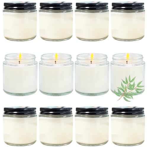 Veiuwa 12 Pcs 4 Oz Mini Soy Candles,Eucalyptus Scented,Aromatherapy Candle,Bulk