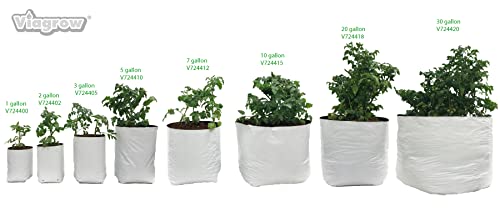 Viagrow V724400-50 Grow Bags Thick Plastic Grow Bags thumb #5