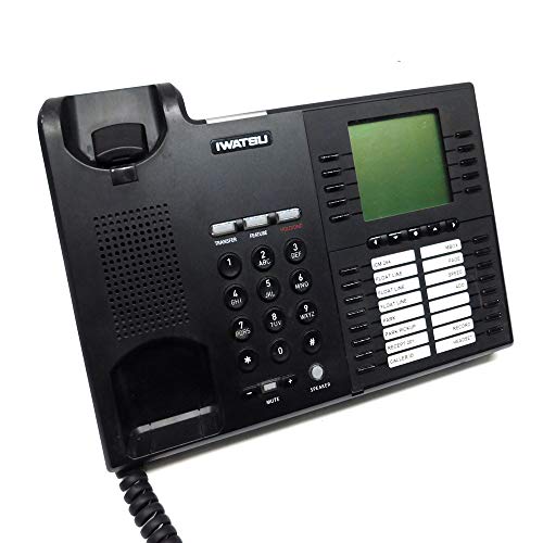 Iwatsu Icon IX-5910 Teléfono IP miniatura 2