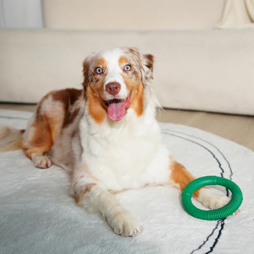 Image of Green Sheep Natural Rubber Ring Dog Chew Toy, Durable Chew Toys for Small to Large Dogs, Tough Dog Toys for Medium & Big Dogs, Teething & Play