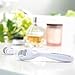 Microneedle Derma Roller Kit for Face and Body -.25MM + BONUS Microneedling Replacement Head (.25MM) & FREE Microneedle Roller Case (Microneedle Roller for Face; Dermaroller Facial Roller)