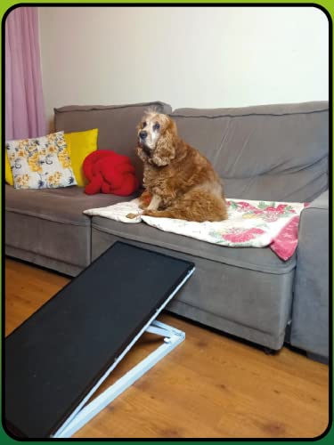 Rampa para Pets com Piso de Borracha Antiderrapante