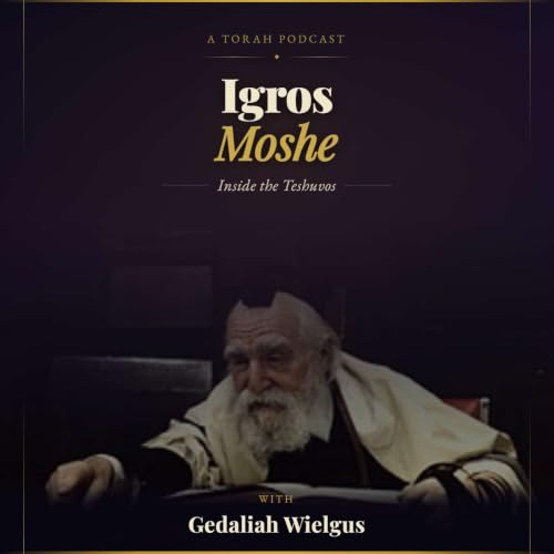 Igros Moshe: Inside the Teshuvos Titelbild