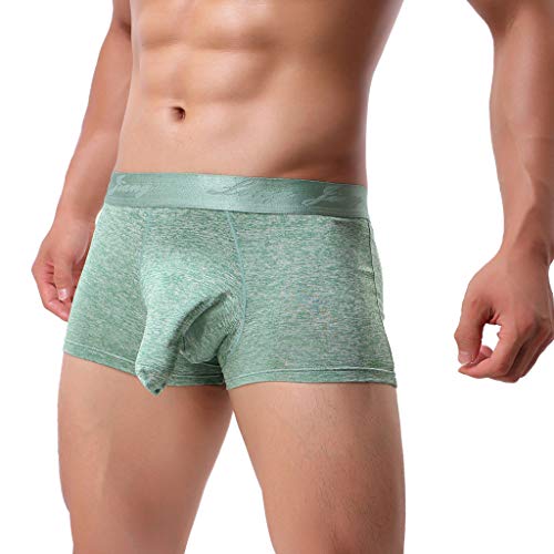 Generic Men's Erotic Hollow Elephant Trunk Boxer Briefs,Stretch Fabric Elastic Adjustable Comfort Fashionable Sexy Underwear2