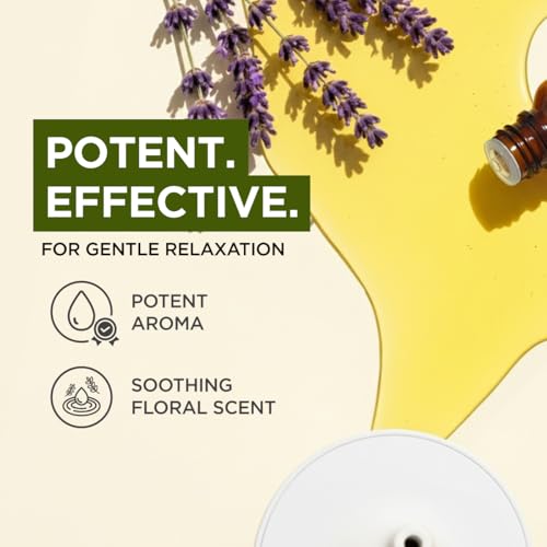 Image of 100% Pure Lavender Essential Oil - 0.34 Fl Oz - Lavender Oil for Hair, Skin, Diffuser, Aromatherapy & DIY Candle Making Scent