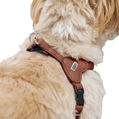 Hunter Hundegeschirr SOHO MINI, Farbe: Cognac, Rindsleder, weich & geschmeidig, fellschonend, leicht, für kleine Hunde & Welpen, Made in Germany, Größe: XS