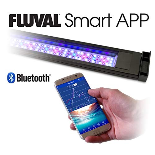 Fluval Sea Flex Saltwater Aquarium Kit - 123 L (32.5 Us Gal) - Black #TOP7