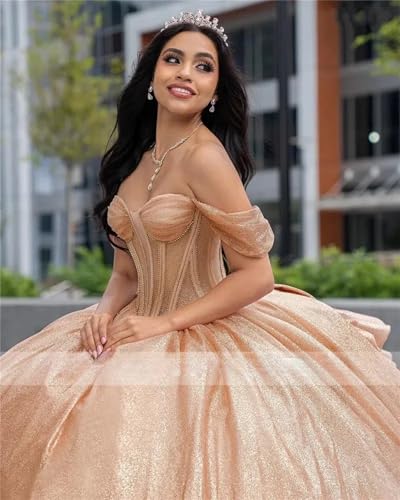 Luxurious Glittering Princess Quinceanera Dresses Crystal Beads Cinderella Sweet Princess Dress with Bow Back3