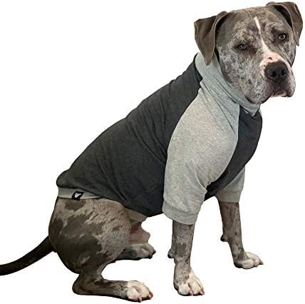 Tooth & Honey Big Dog/Pullover/Large Dog Shirt/Light Weight Shirt/Color Block Shirt/Summer Shirt (Extra Large)