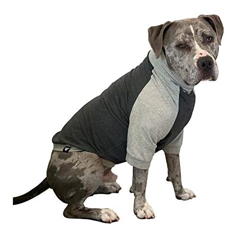 Tooth & Honey Big Dog/Pullover/Large Dog Shirt/Light Weight Shirt/Color Block Shirt/Summer Shirt (Large) Cover